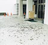 飛び散ったガラス片(玄関入り口)