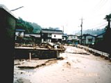 0629007.jpg