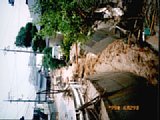 0629015.jpg