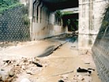 06302003.jpg