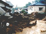 06302028.jpg