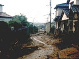 06302030.jpg