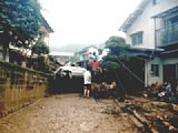 06302031.jpg