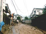 06302033.jpg