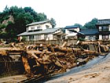 06302039.jpg