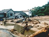 06302040.jpg