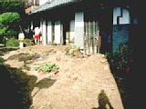 06303003.jpg