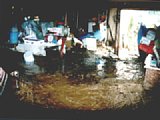06303004.jpg