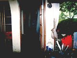 06303008.jpg