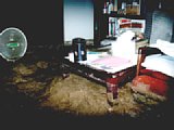 06303011.jpg