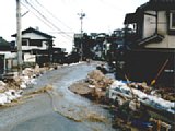 06303016.jpg