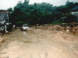 0702006.jpg